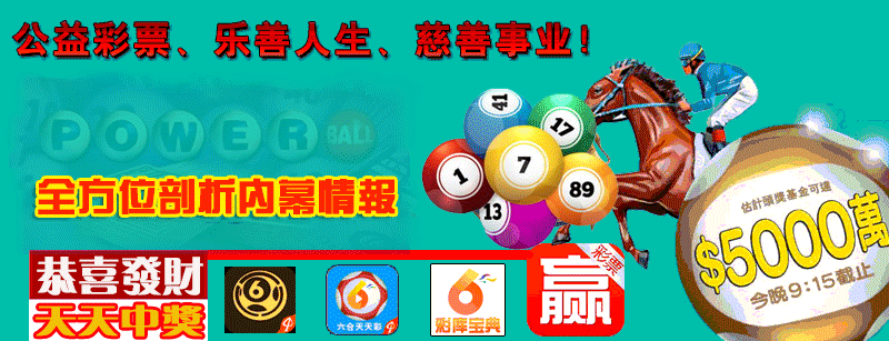 六合彩策略